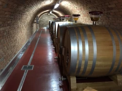 Vinařství Velké Bílovice, provozní plochy 550 m2
